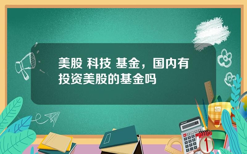 美股 科技 基金，国内有投资美股的基金吗